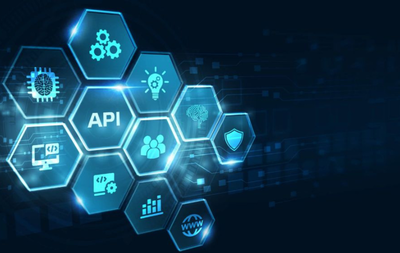 custom software development