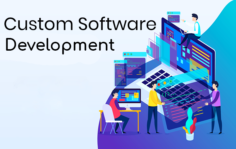 custom software development